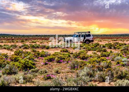 4x4 garé dans le désert Rouge près de la région minière de Kalgoorlie, Australie occidentale, Australie Banque D'Images