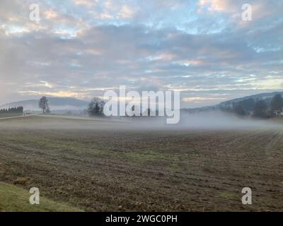 Un paysage pittoresque avec un champ serein orné d'arbres dispersés et d'herbe verte luxuriante en toile de fond Banque D'Images