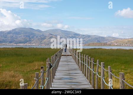 Lac Titicaca, devant des roseaux et une passerelle en bois, derrière Puno, province de Puno, Pérou Banque D'Images