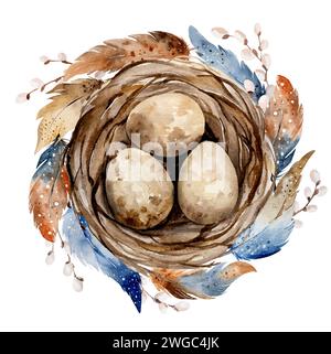 Aquarelle peinte à la main représente Nest avec des œufs et de belles plumes Illustration de Vecteur