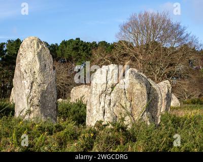 Pierres debout de Kermario près de Carnac, Bretagne, France Banque D'Images