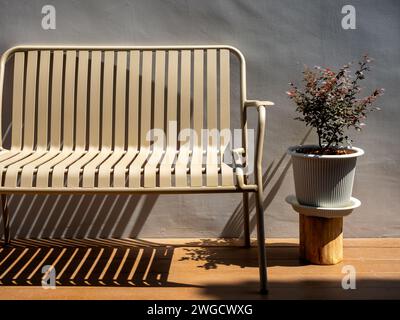 Banc de fer beige moderne et tendance vide et plante en pot blanc sur plancher de planche de bois brun sur fond de mur blanc à la terrasse extérieure, arrière-cour de la maison Banque D'Images