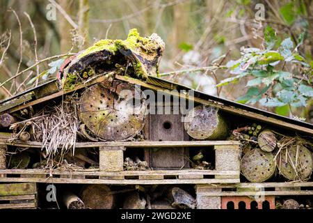 Giant Bug Hotel, abri pour insectes en bois recyclé Banque D'Images