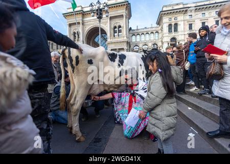 Milan, Italie. 04 février 2024. Foto Stefano Porta/LaPresse04-02-2024 Milano, Italia - Cronaca - Allevatori in protesta portano in Piazza del Duomo una mucca 04 février 2024 Milan, Italie - Actualités - des agriculteurs protestants apportent une vache à Piazza del Duomo Credit : LaPresse/Alamy Live News Banque D'Images