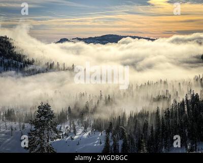 Quelques nuages se déplaçant bas à travers les arbres au sommet d'une montagne enneigée dans le lac Tahoe, Californie au coucher du soleil Banque D'Images