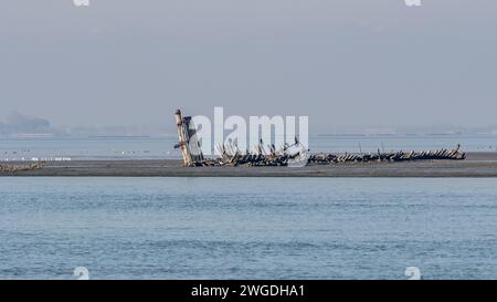 Grado, Italie - 28 janvier 2024 : vue de loin sur les anciennes épaves romaines de la lagune. Journée brumeuse en hiver. Banque D'Images