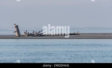 Grado, Italie - 28 janvier 2024 : vue de loin sur les anciennes épaves romaines de la lagune. Journée brumeuse en hiver. Banque D'Images