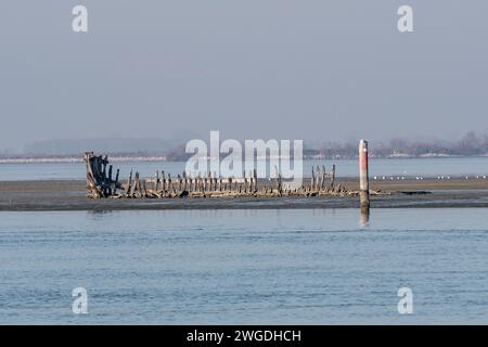 Grado, Italie - 28 janvier 2024 : vue de loin sur les anciennes épaves romaines de la lagune. Journée brumeuse en hiver. Banque D'Images