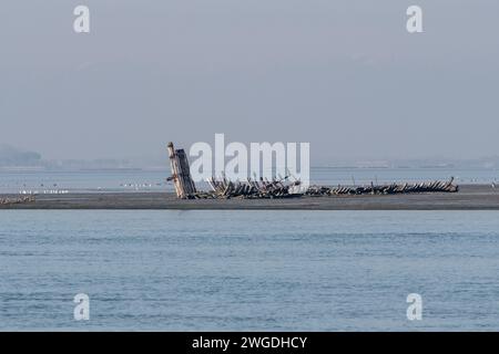 Grado, Italie - 28 janvier 2024 : vue de loin sur les anciennes épaves romaines de la lagune. Journée brumeuse en hiver. Banque D'Images