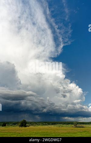 Violent front d'orage avec formation de nuages menaçants, d'où tombe en partie la pluie, sur un paysage de plaine inondable plate avec des prairies et des arbres Banque D'Images