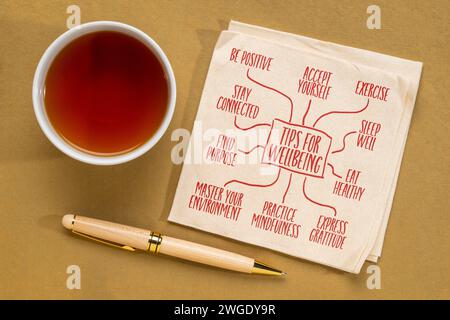 conseils pour le bien-être - infographie ou croquis de carte mentale sur serviette, concept de mode de vie sain Banque D'Images
