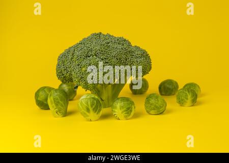 Brocoli et choux de Bruxelles sur fond jaune Banque D'Images