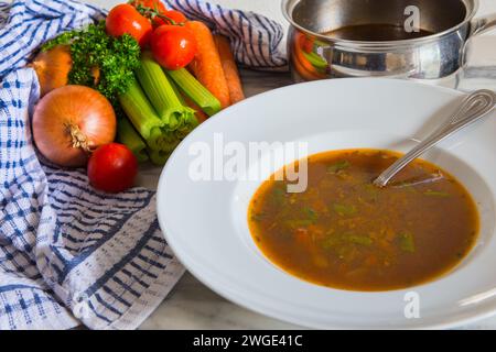 Soupe maison de bœuf frais et de légumes dans un bol à soupe blanche avec oignon frais, carottes, céleri, tomates, herbes et une casserole en acier inoxydable. Banque D'Images