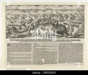 Baleines échouées entre 1519-1617 sur la côte néerlandaise, 1617, 1617 imprimer Aperçu des baleines échouées sur la côte néerlandaise entre 1519 et 1617. Au premier plan se trouve un grand poisson spermatozoïde qui est grimpé et mesuré. Sur la plage de la mer du Nord à gauche et à droite de Wijk aan Zee à Ter Heijde plusieurs cachalots échoués. Dans la performance, la mention d'un échantillon semblable à un crocodile le le 12 février 1617. Certains animaux indiquent le prix que le cadavre a levé lors de la vente. Au loin, les villes de Haarlem, Leiden et la Haye. Imprimé séparément sous la section Imprimer une description du Banque D'Images