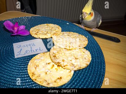 Joyeuse célébration festive lohri avec de la nourriture et des noix avec Parrot Festival of India Banque D'Images