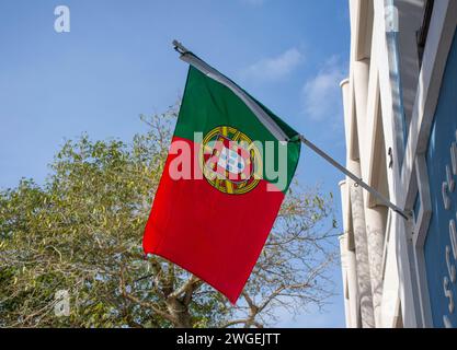 Drapeau du Portugal (Bandeira de Portugal) devant le club portugais, rue Reid, ville de Hamilton, paroisse de Pembroke, Bermudes Banque D'Images