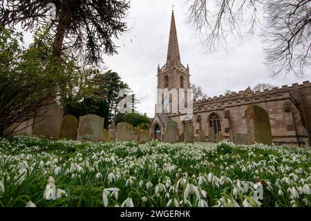 Uffington, Royaume-Uni. 4 février 2024. Un tapis de gouttes de neige dans le cimetière de St. Michael's and All Angels Church dans le magnifique village d'Uffington près de Stamford, Lincolnshire, Angleterre, Royaume-Uni. Crédit : Jonathan Clarke/Alamy Live News Banque D'Images