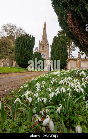 Uffington, Royaume-Uni. 4 février 2024. Un tapis de gouttes de neige dans le cimetière de St. Michael's and All Angels Church dans le magnifique village d'Uffington près de Stamford, Lincolnshire, Angleterre, Royaume-Uni. Crédit : Jonathan Clarke/Alamy Live News Banque D'Images