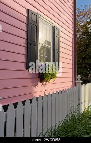 Boîte à fleurs illuminée par le soleil sous la fenêtre encadrée par une clôture blanche de piquet Banque D'Images