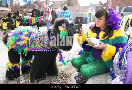 Prog Louis, États-Unis. 08th Feb, 2024. Melody Hubbard nourrit son caniche standard Lavande, une partie de son sandwich comme les deux en costume, attendre le début de la Parade annuelle Purina Pet dans le quartier Soulard à Louis le dimanche 4 février 2024. La Parade des animaux de compagnie permet à des centaines de personnes de promener leurs animaux de compagnie dans la parade, qui a lieu quelques jours avant la grande parade de mardi gras. Photo de Bill Greenblatt/UPI crédit : UPI/Alamy Live News Banque D'Images