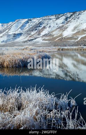 Ana River à Winter Rim, Summer Lake Wildlife Area, Oregon Outback Scenic Byway, Oregon Banque D'Images