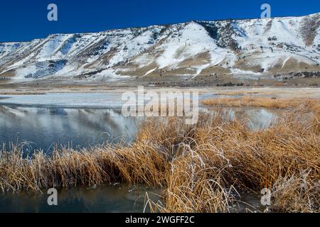 Étang de Rim d'hiver, été lac de faune, de l'Oregon Outback Scenic Byway, Oregon Banque D'Images