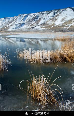 Étang de Rim d'hiver, été lac de faune, de l'Oregon Outback Scenic Byway, Oregon Banque D'Images