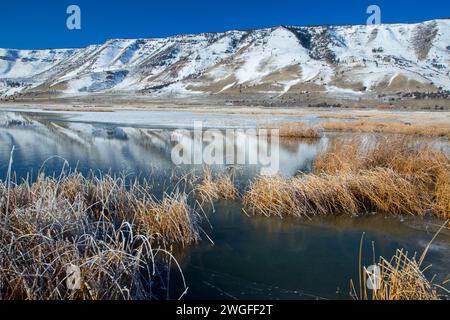 Étang de Rim d'hiver, été lac de faune, de l'Oregon Outback Scenic Byway, Oregon Banque D'Images