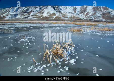 Étang gelé à l'hiver, Rim été lac de faune, de l'Oregon Outback Scenic Byway, Oregon Banque D'Images