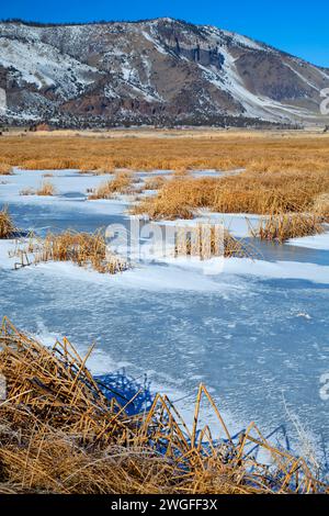 Étang gelé à l'hiver, Rim été lac de faune, de l'Oregon Outback Scenic Byway, Oregon Banque D'Images