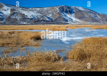 Étang gelé à l'hiver, Rim été lac de faune, de l'Oregon Outback Scenic Byway, Oregon Banque D'Images