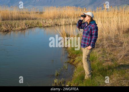 Observation des oiseaux le long de la rivière Ana, réserve naturelle de Summer Lake, Oregon Outback Scenic Byway, Oregon Banque D'Images