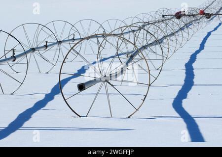 Tuyau d'irrigation sur neige, Oregon Outback Scenic Byway, Oregon Banque D'Images