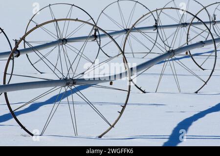 Tuyau d'irrigation sur neige, Oregon Outback Scenic Byway, Oregon Banque D'Images