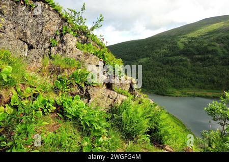 Herbe et buissons sur la pente d'une falaise abrupte surplombant un grand lac dans une plaine par une journée nuageuse d'été. Lacs Ivanovskie, Khakassia, Sibérie, Rus Banque D'Images