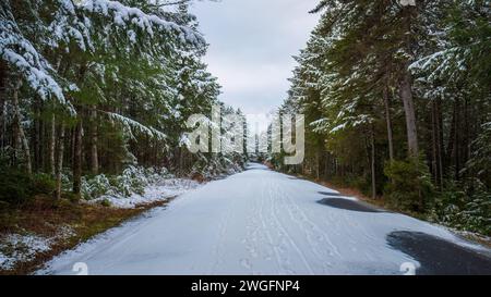 La route d'entrée du parc d'État Peaks-Kenny dans le Maine, en passant par une forêt d'épinettes-sapins. Un paysage enneigé après la première tempête hivernale. Banque D'Images