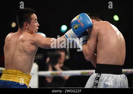 Série mondiale de boxe : Ukraine Otamans vs Russian Boxing Team Banque D'Images