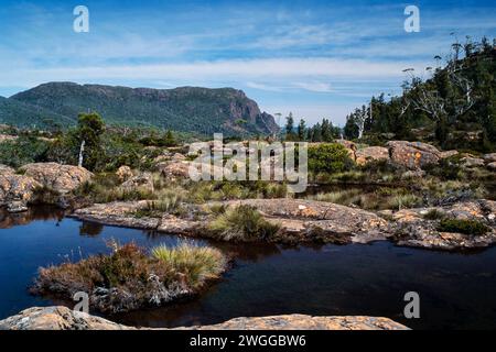 Alpine tarn on the Overland Track, parc national de Cradle Mountain-Lake St clair, Tasmanie, Australie Banque D'Images