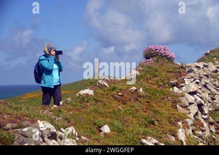 Femme prenant des photos de Pink Sea Thrift au sommet du mur de pierres sèches par Stepper point Daymark navigation Tower sur le sentier côtier du sud-ouest près de Padstow. Banque D'Images