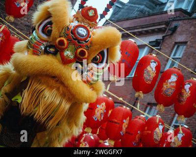 Danse du lion d'or lors de la célébration du nouvel an chinois avec des lanternes en papier Banque D'Images