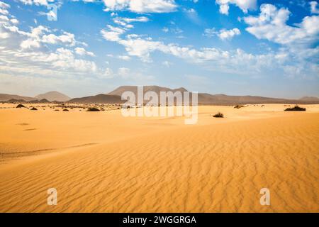 paysage de désert de sable avec végétation clairsemée et montagnes à l'horizon Banque D'Images