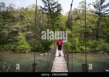 Homme marchant le long d'un pont de corde sur Appalachian Trail près de Goshen Pass, Blue Ridge Mountains, Virginie, États-Unis Banque D'Images