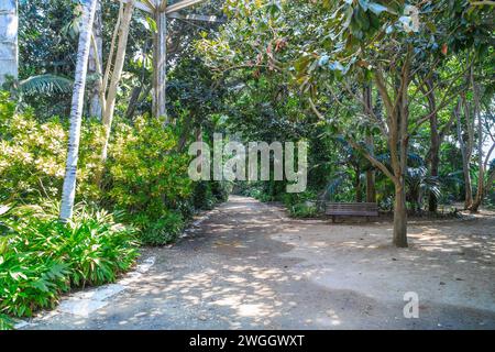 TEL AVIV, ISRAËL - 19 SEPTEMBRE 2017 : il y a des allées dans le jardin tropical du parc Yarkon. Banque D'Images