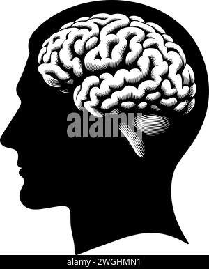 Tête humaine avec silhouette cérébrale. Illustration vectorielle Illustration de Vecteur