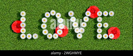 Le mot amour écrit avec des marguerites (Bellis Perennis) Banque D'Images