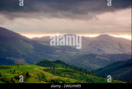 paysage de campagne montagneux de l'ukraine au printemps. paysage rural des carpates avec des collines ondulantes et des prairies herbeuses dans la lumière du soir Banque D'Images