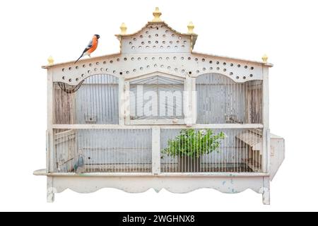 Ancienne cage à oiseaux en bois peint blanc avec petit oiseau rouge isolé sur un fond blanc Banque D'Images