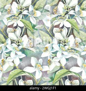 modèle sans couture avec fleurs de jasmin florissantes, aquarelle sur papier Banque D'Images
