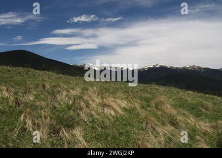 Deux collines luxuriantes se faisant face à travers une prairie verte, sous un ciel orné de nuages blancs moelleux Banque D'Images