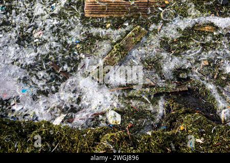 Photo de Shaun Fellows / Alamy. Déchets, y compris plastique et plumes, échoués sur le lit de la rivière Banque D'Images